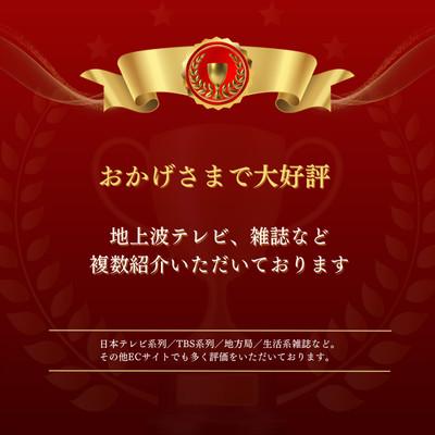 ふるさと納税 海南市 【山本勝之助商店】11玉 長柄 皮巻き 棕櫚ほうき_1