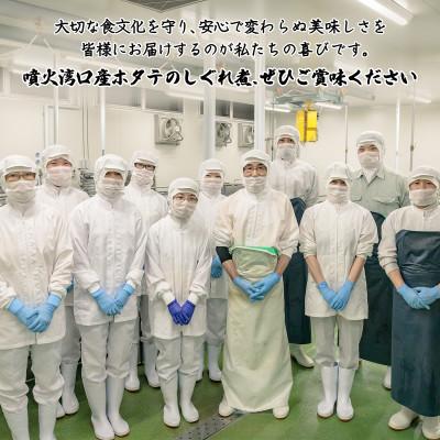 ふるさと納税 鹿部町 北海道産ホタテのしぐれ煮 350g(70g×5袋)TS10-2S