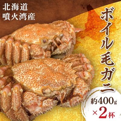 ふるさと納税 八雲町 北海道噴火湾産 ボイル毛ガニ400g前後×2杯 