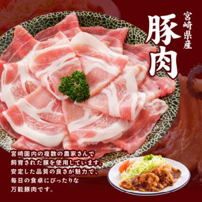 ふるさと納税 都城市 宮崎県産豚うきうきセット!4.1kg |  | 01