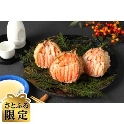 ふるさと納税 福井市 [さとふる限定]北陸産毛がに甲羅盛 オスメス混合3個 合計450g以上