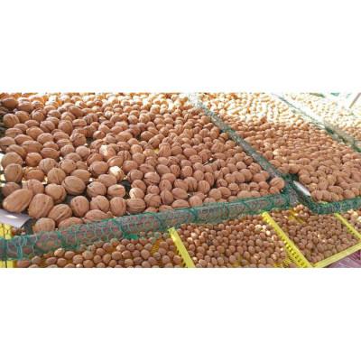 ふるさと納税 長野県 信濃くるみ[長野県東御市産ブランド]600g(大粒)殻付き 新物