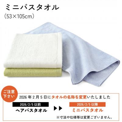 ふるさと納税 川越市 【1秒タオル】ホットマンカラー12 ミニバスタオル2枚セット_1