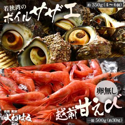 ふるさと納税 美浜町 大人気!ボイルサザエ(4〜6個)&amp; 越前甘えび(卵なし大サイズ1箱)セット