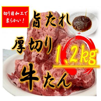 ふるさと納税 三豊市 あんどう醤油の旨タレ 厚切り牛タン
