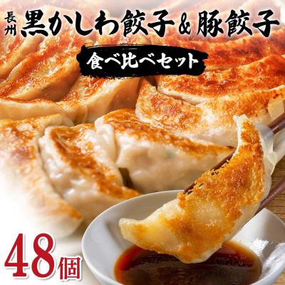 ふるさと納税 山陽小野田市 長州黒かしわ餃子&amp;豚餃子 食べ比べセット 48個入り