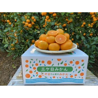 ふるさと納税 浜松市 三ヶ日青島みかん 8kg 光センサー