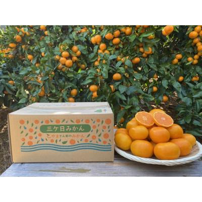 ふるさと納税 浜松市 極旨プレミアム 三ヶ日青島みかん3kg 光センサー選果