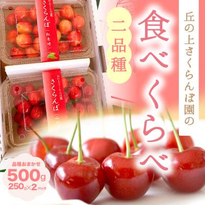 ふるさと納税 豊丘村 [丘の上さくらんぼ園]さくらんぼ食べ比べセット 500g 2026年6月より発送