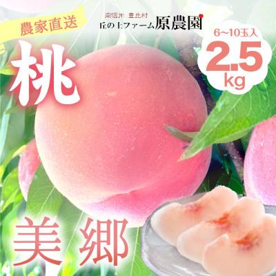 ふるさと納税 豊丘村 [丘の上ファーム]もも『美郷』2.5kg(6-10玉) 2026年7月下旬より発送
