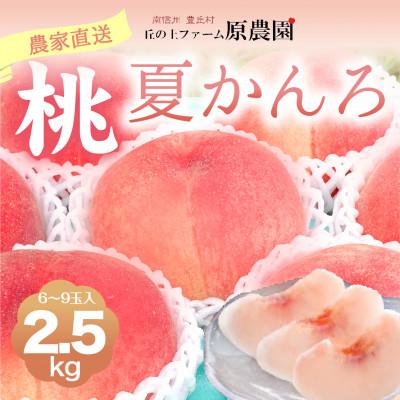 ふるさと納税 豊丘村 [丘の上ファーム]もも『夏かんろ』2.5kg (6〜9玉) 2026年7月発送
