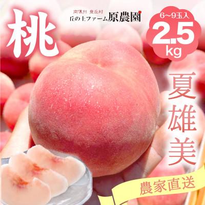 ふるさと納税 豊丘村 [丘の上ファーム]もも『夏雄美』2.5kg (6〜9玉) 2026年7月発送