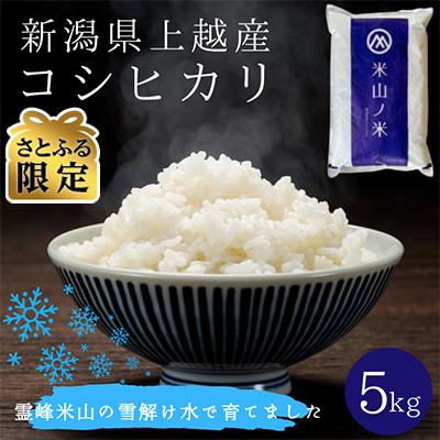 ふるさと納税 上越市 [さとふる限定]令和7年産 新潟県上越産コシヒカリ 精米 5kg 数量限定 1月中旬発送