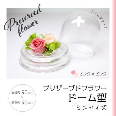 ふるさと納税 美浜町 ブリザーブドフラワー ドーム型 ピンク×ピンク