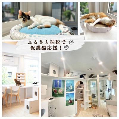 ふるさと納税 千代田区 保護猫支援!応援ネームプレート NPO法人ちよだニャンとなる会 千代田区の画像