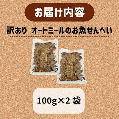 ふるさと納税 精華町 【ペット用】BariShBarih訳ありオートミールのお魚せんべい2種 200g (100g×2袋)の画像
