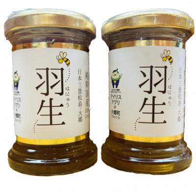 ふるさと納税 大郷町 アイリスアグリ 純粋国産100%はちみつ (大郷町産) 羽生 110g×2本