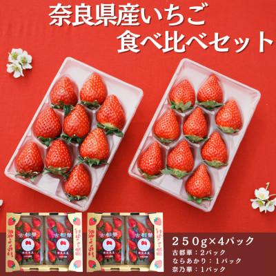 ふるさと納税 橿原市 [奈良県知事賞]食べ比べ:古都華・ならあかり・奈乃華(計4パック) 入金確認後、最短7日で発送 苺