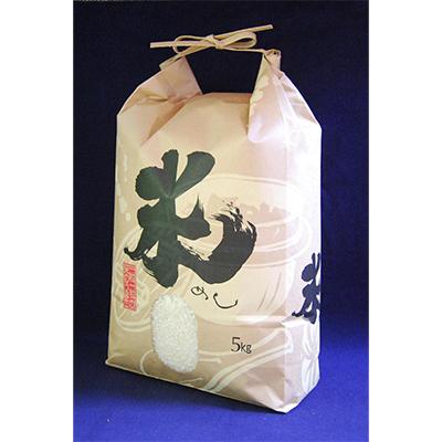 ふるさと納税 勝浦市 [令和7年産]勝浦産コシヒカリ 精米(5kg)