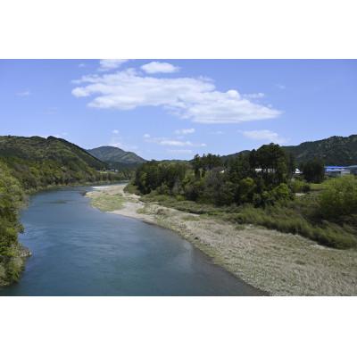 ふるさと納税 三重県 有機煎茶　のどか　80g×10本入_1