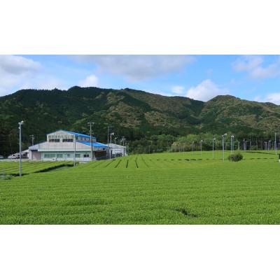 ふるさと納税 三重県 有機煎茶　のどか　80g×10本入_2