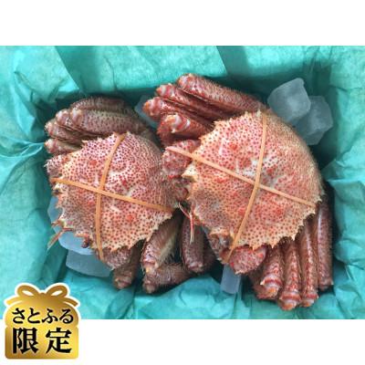 ふるさと納税 佐渡市 [さとふる限定]<先行予約>佐渡産 毛がに 400g×2杯