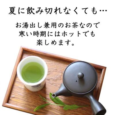 ふるさと納税 新富町 宮崎日本茶専門店 特撰水出しティーバッグ(5g×20p) 10本セットの画像
