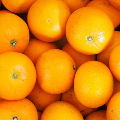 ふるさと納税 八幡浜市 清見タンゴール 5kg