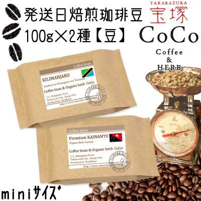ふるさと納税 宝塚市 発送日焙煎珈琲 コーヒー100g×2種 [豆]キリマンジャロ・プレミアムカイナントゥ