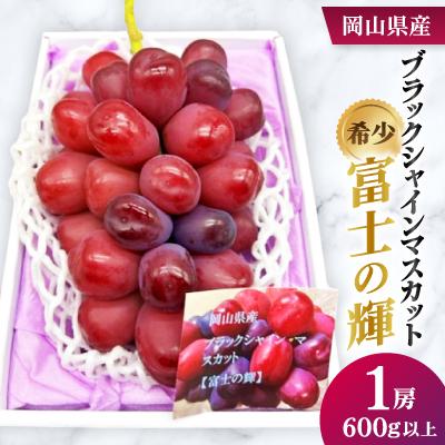 ふるさと納税 井原市 [2026年発送]岡山県産 ブラックシャインマスカット 1房(600g以上)化粧箱入り