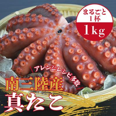 ふるさと納税 南三陸町 南三陸産 真たこ 1kg