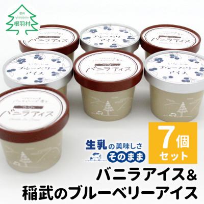 ふるさと納税 根羽村 マダガスカル産バニラビーンズ香るバニラアイス&amp;いなぶのブルーベリーアイス 7個セット