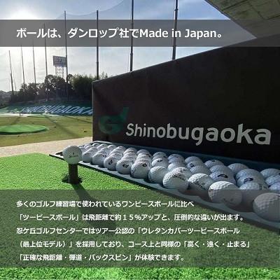 ふるさと納税 四條畷市 ゴルフ読み合わせる場 忍ケ丘ゴルフ真っただ中 集積回路歌留多受け持ち受け入れる券 30,000円分(約3,600球)
