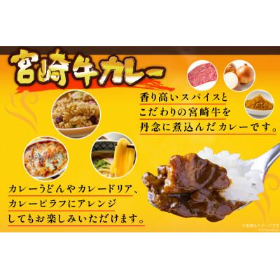 ふるさと納税 日向市 宮崎牛カレー(160g×12食) |  | 01