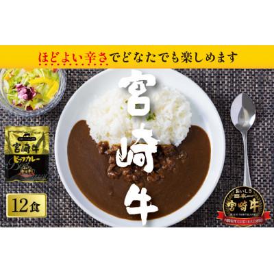 ふるさと納税 日向市 宮崎牛カレー(160g×12食) |  | 02