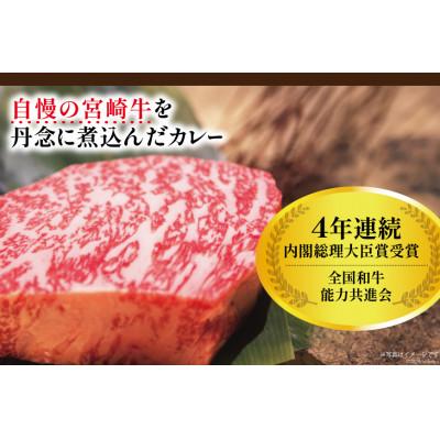 ふるさと納税 日向市 宮崎牛カレー(160g×12食) |  | 03