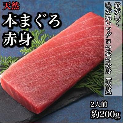 ふるさと納税 小田原市 天然本鮪 赤身 1柵 約200g 貴重な天然まぐろの赤身の部位[天身]を使用![神奈川県小田原早川]