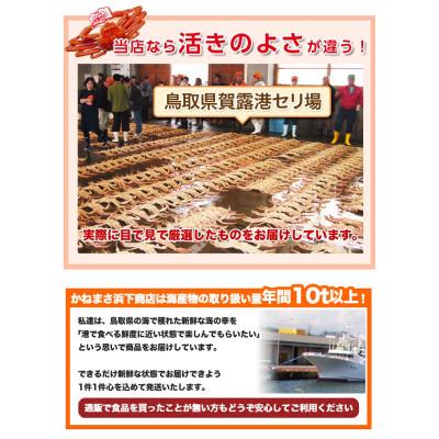 ふるさと納税 若桜町 【先行予約】鳥取県産　訳あり活松葉がに　2〜3枚で1.2kg以上(1〜4本足落ち)_2