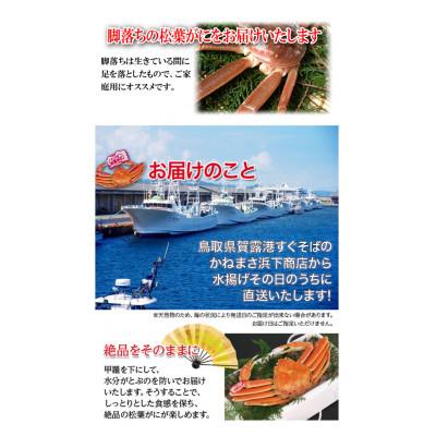 ふるさと納税 若桜町 【先行予約】鳥取県産　訳あり活松葉がに　2〜3枚で1.2kg以上(1〜4本足落ち)_3