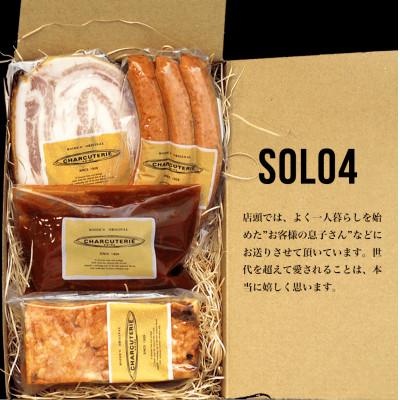 ふるさと納税 日進市 Solo4 冷凍