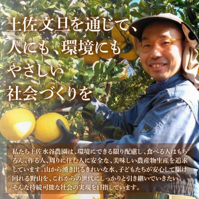 ふるさと納税 土佐市 化学合成農薬栽培期間中不使用　土佐水谷農園の土佐文旦　3kg(5個前後)　家庭用訳あり品_1