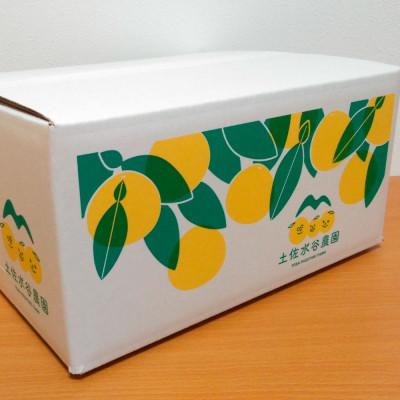 ふるさと納税 土佐市 化学合成農薬栽培期間中不使用　土佐水谷農園の土佐文旦　3kg(5個前後)　家庭用訳あり品_3