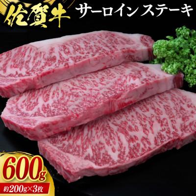 ふるさと納税 鳥栖市 佐賀牛サーロインステーキ(600g)(鳥栖市)