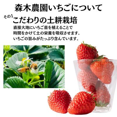 ふるさと納税 牧之原市 ビタミンC含有量No.1☆ 完熟いちご ふるさと納税 牧之原市 ビタミンC含有量No.1☆ 完熟いちご