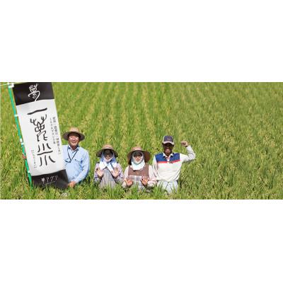 ふるさと納税 山鹿市 ぬか醤200cc×5本【株式会社夢アグリ】《山鹿市》