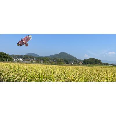 ふるさと納税 山鹿市 ぬか醤200cc×5本【株式会社夢アグリ】《山鹿市》