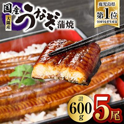 ふるさと納税 鹿屋市 [人気返礼品数量限定復活!]鹿児島県大隅産うなぎ蒲焼5尾(計600g)2725
