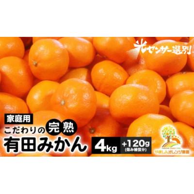 ふるさと納税 広川町 [25年10月より順次発送]完熟有田みかん4kg+120g(傷み補償分)ご家庭用nuk004-c-4