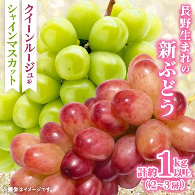 ふるさと納税 長野市 [2026年先行受付]クイーンルージュ(R)&シャインマスカット1kg以上(2〜3房入り)