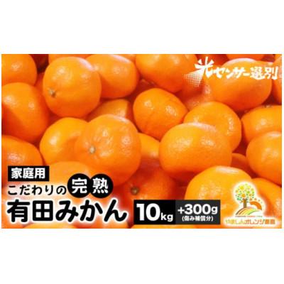 ふるさと納税 広川町 [25年10月より順次発送]有田みかん10kg+300g(傷み補償分)ご家庭用nuk004-c-10